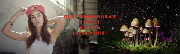 PSILOCYBIN Беломорск