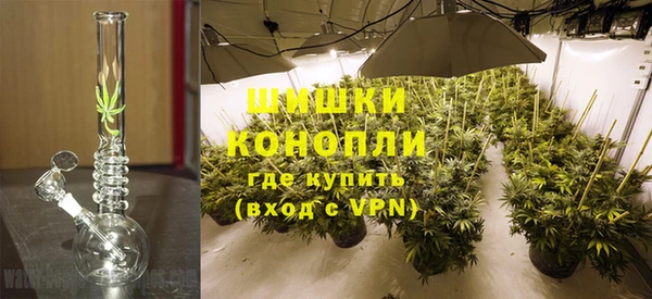 экстази Белокуриха