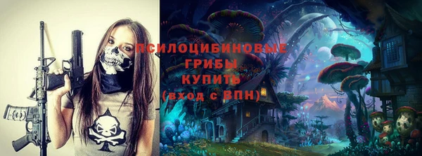 PSILOCYBIN Беломорск