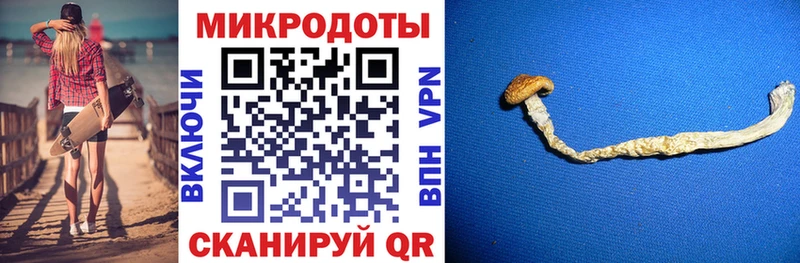 Галлюциногенные грибы GOLDEN TEACHER  купить закладку  Окуловка 